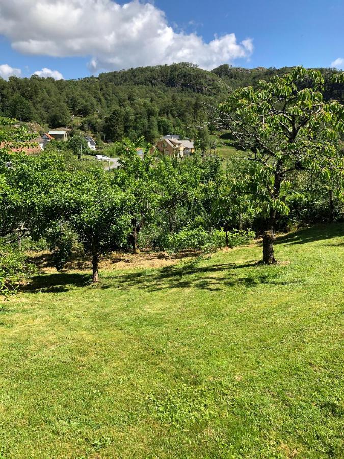 Sokndal - Cozy Vacation Home In Peaceful Surroundings Algard  Dış mekan fotoğraf